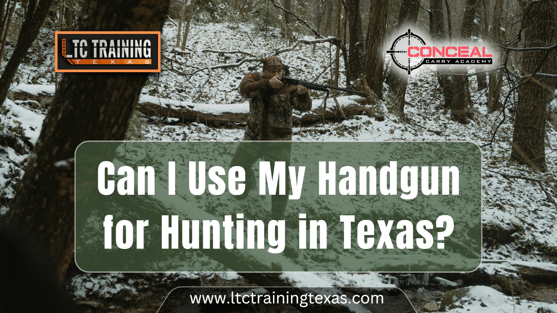 Can I Use My Handgun for Hunting in Texas?