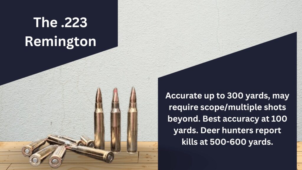 How Far Can a Bullet Travel? - 223 Remington - Online Texas LTC
