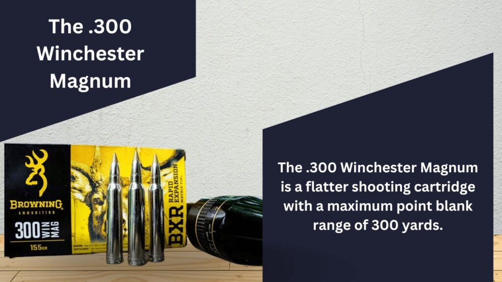 How Far Can a Bullet Travel? - 300 Winchester Magnum - NRA Range Safety Officer